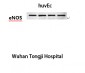 eNOS Monoclonal Antibody(Mix)